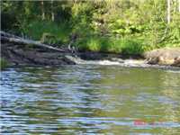 Карелия. Водопад. (49)